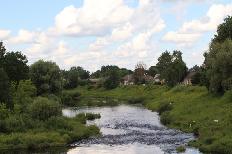 Вид на реку Шелонь